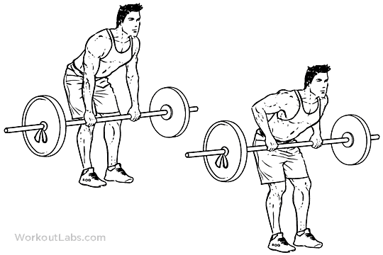 bent_over_barbell_row