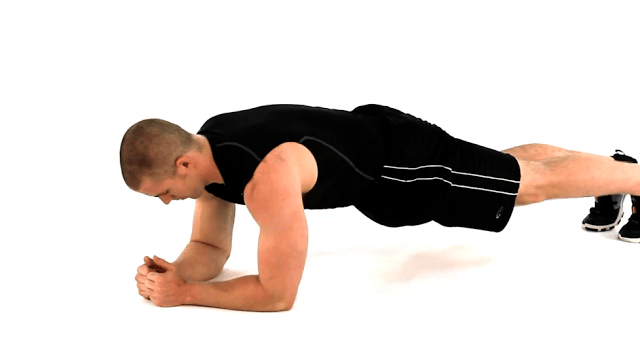plank hold