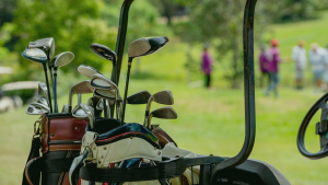 golf cart bags