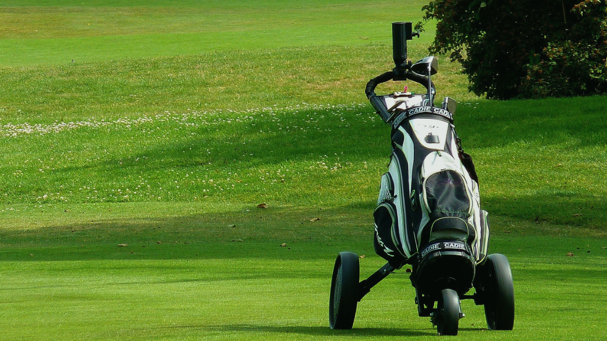 Best Electric Golf Push Carts 2024 - Berti Chandal