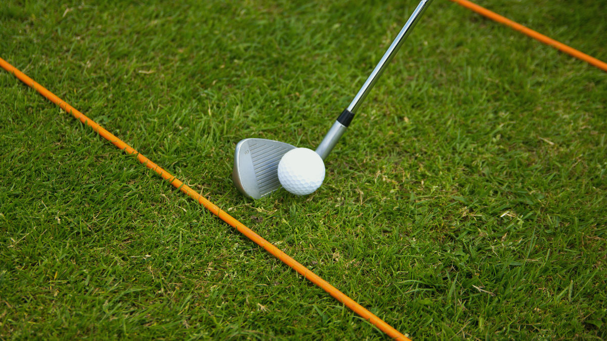 flatball golf swing training aid