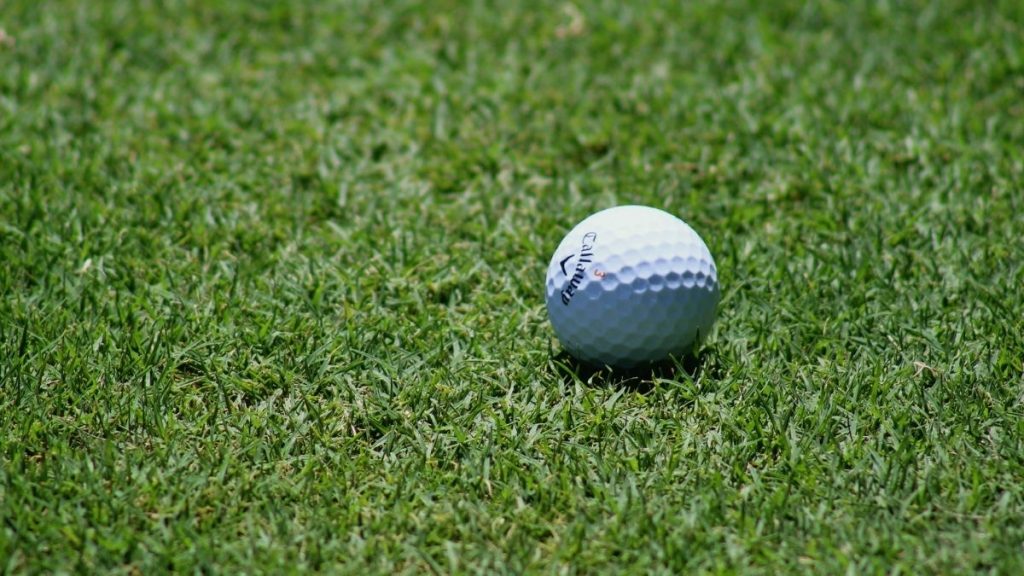 Longest Golf Balls for All Golfers in 2021