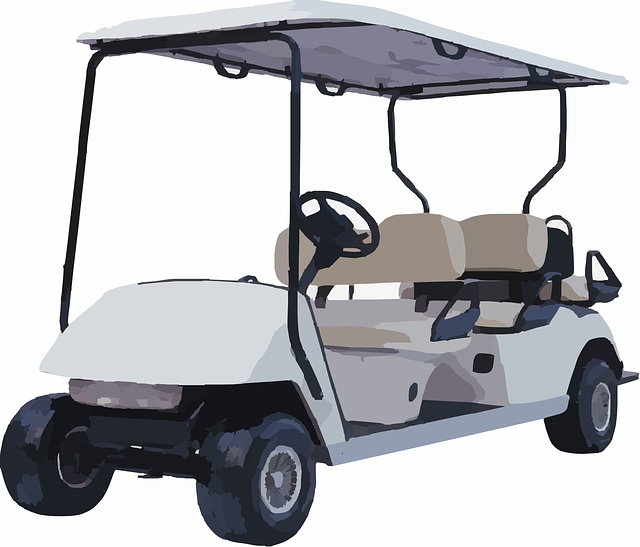 Electric Golf Cart